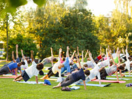 A big group of adults attending a yoga class on a sunny field